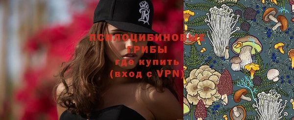 a pvp Абдулино