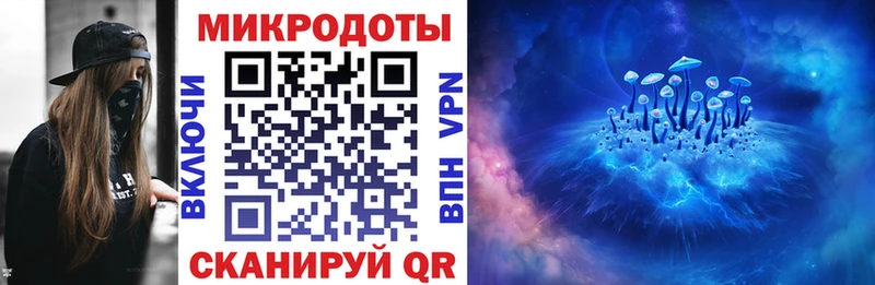 Галлюциногенные грибы Psilocybe  Рославль 